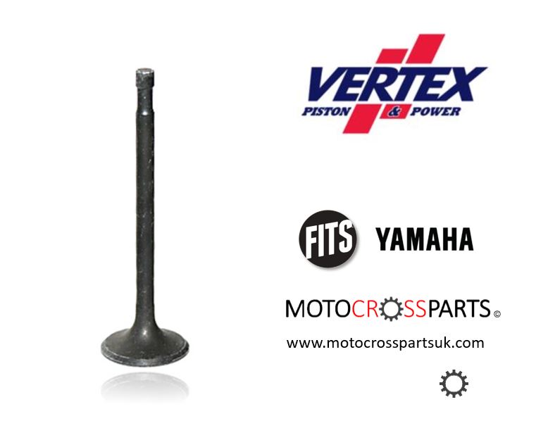 Intake Valve