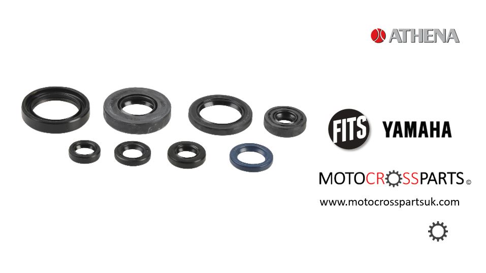 Oil Seal Set