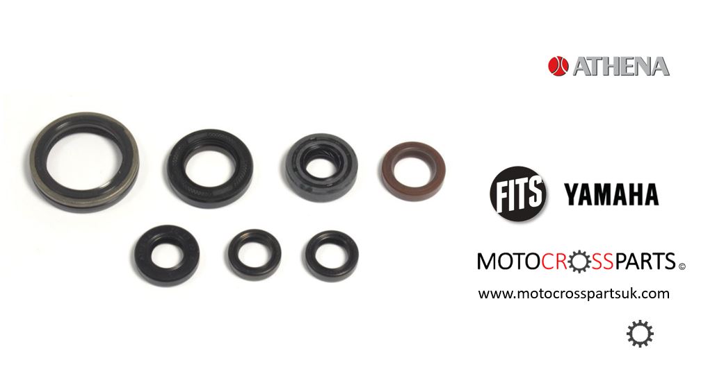 Oil Seal Set