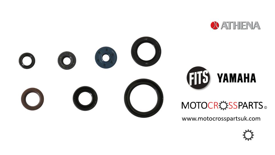 Oil Seal Set