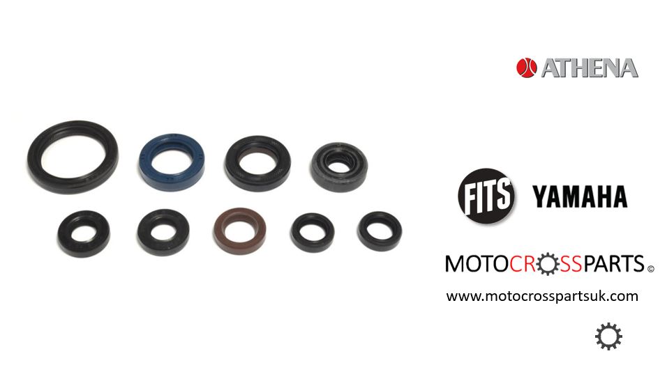 Oil Seal Set