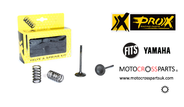 Exhaust Valve Spring Kit