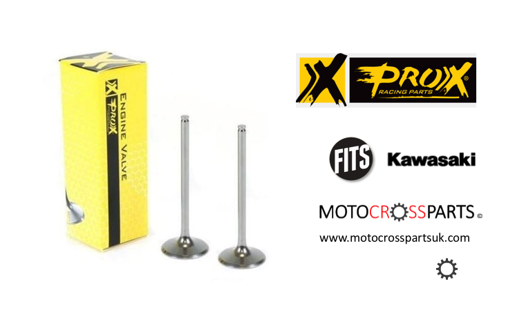 Intake Valves