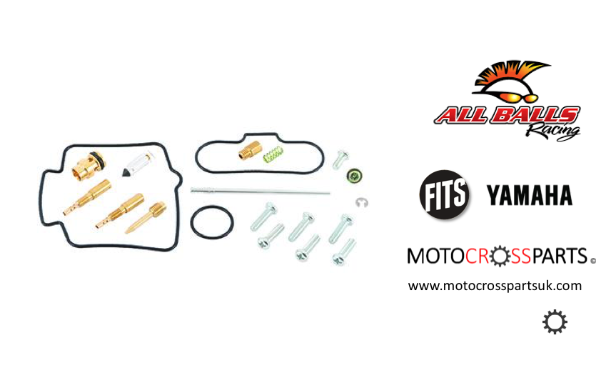 Carburetor Rebuild Kit