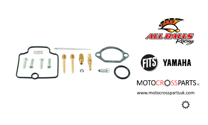 Carburetor Rebuild Kit