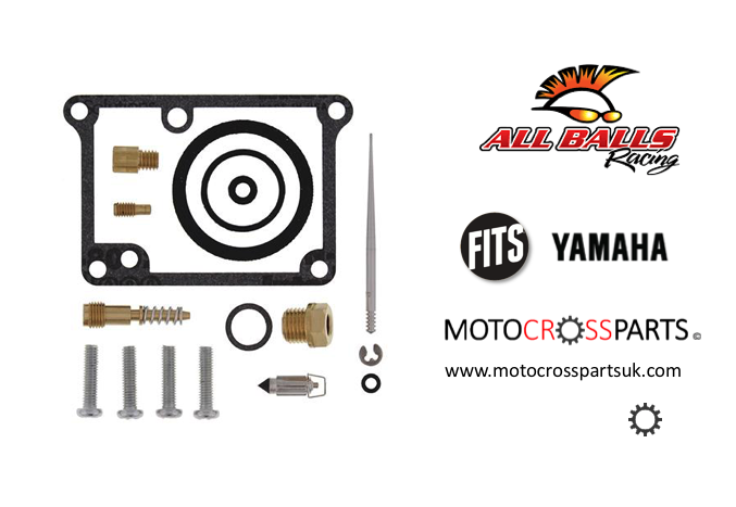 Carburetor Rebuild Kit