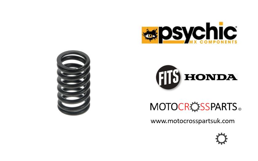 Intake Valve Springs