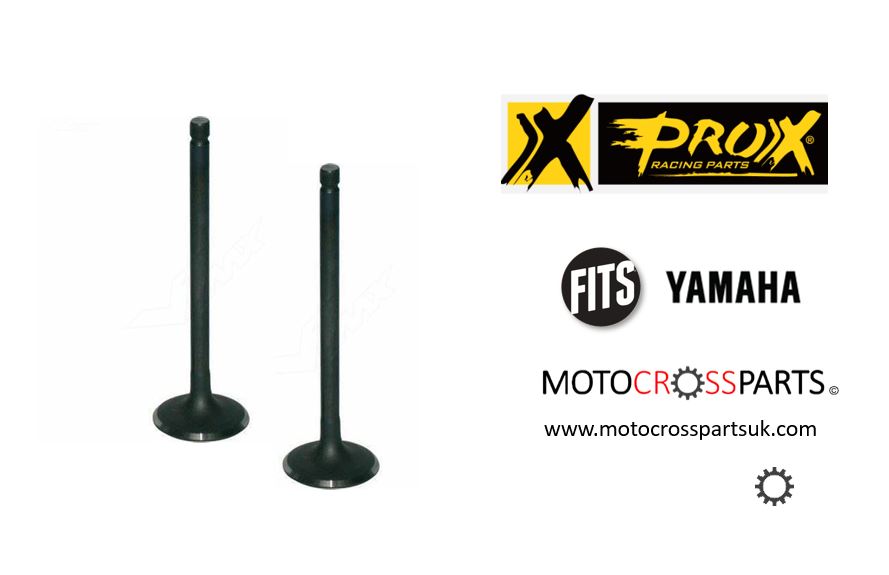 Exhaust Valves