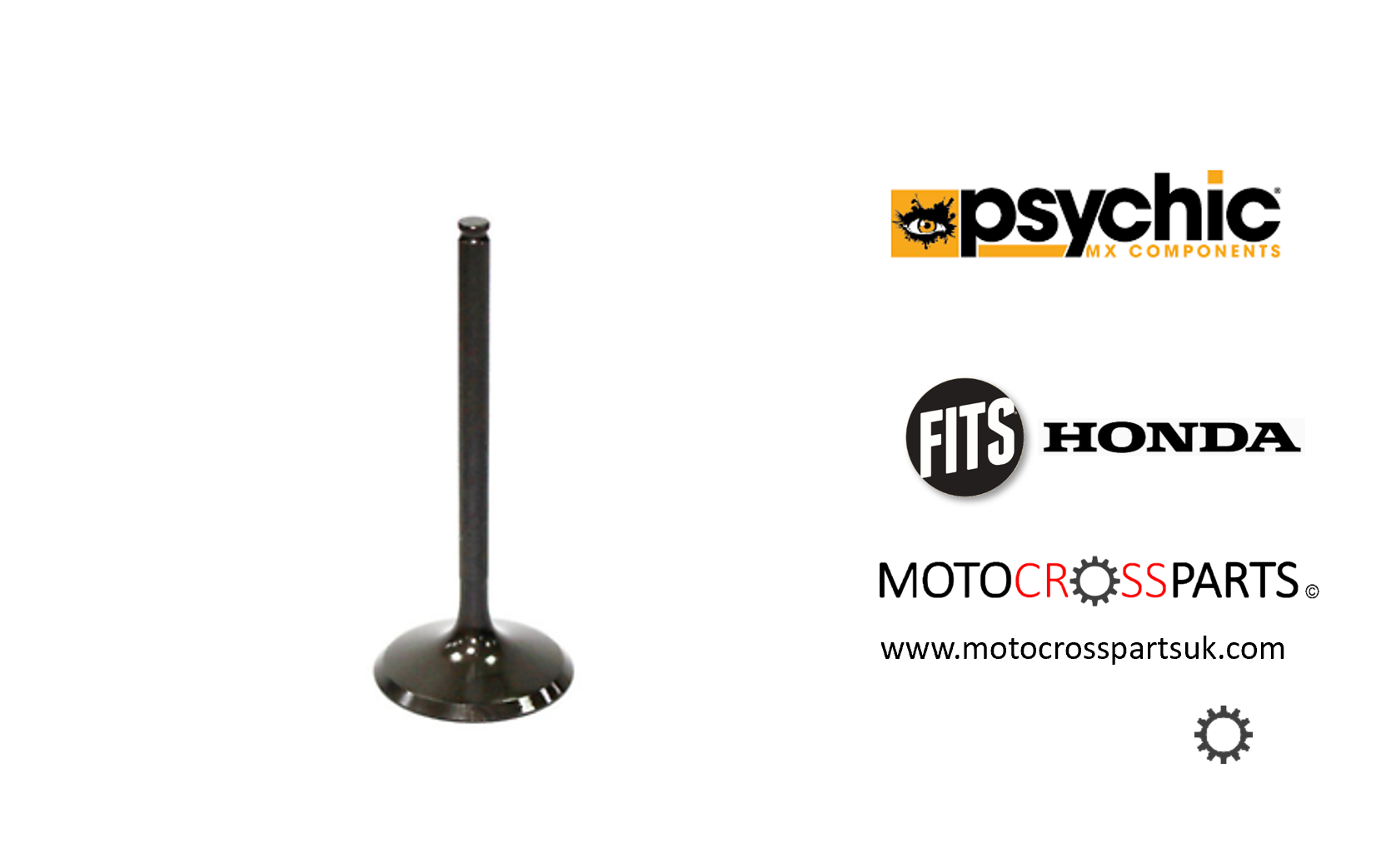 Exhaust Valve