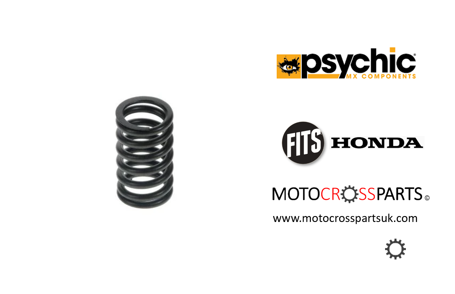 Exhaust Valve Spring
