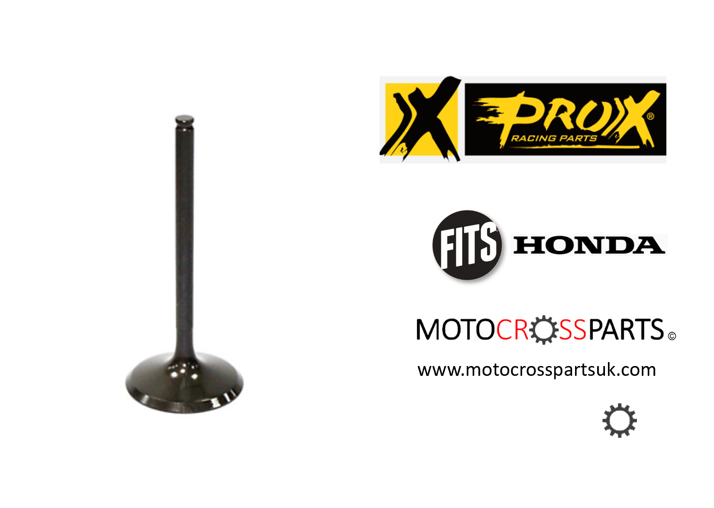 Exhaust Valve