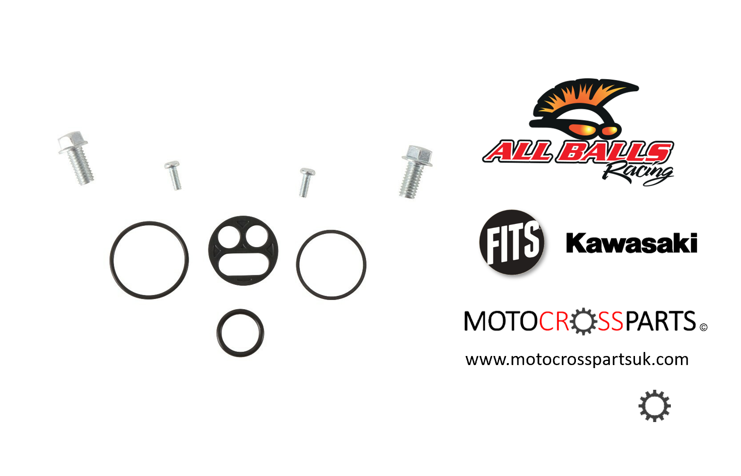 Fuel Tap Repair Kit
