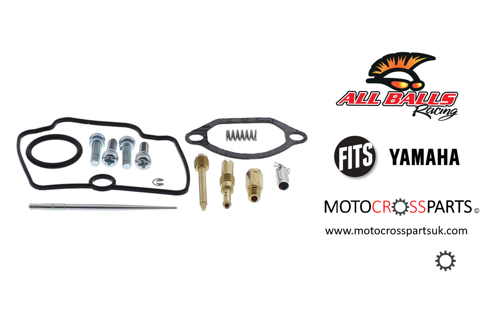 Carburetor Rebuild Kit