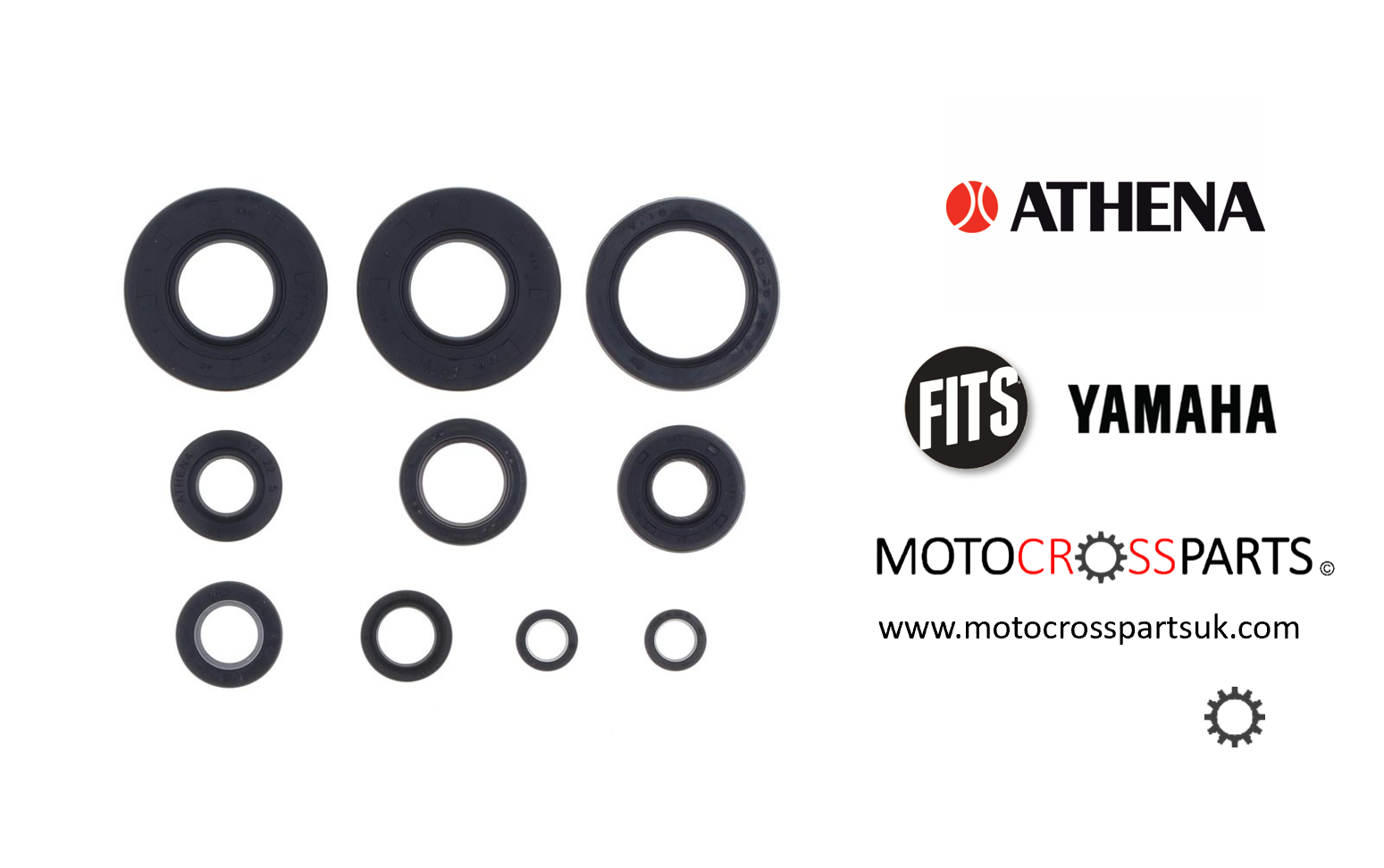 Oil Seal Set