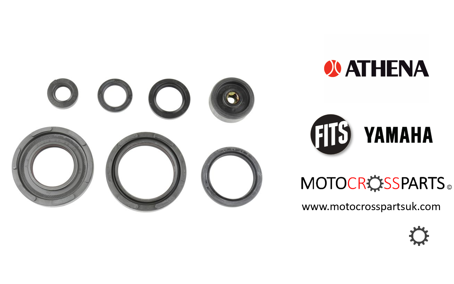 Oil Seal Set