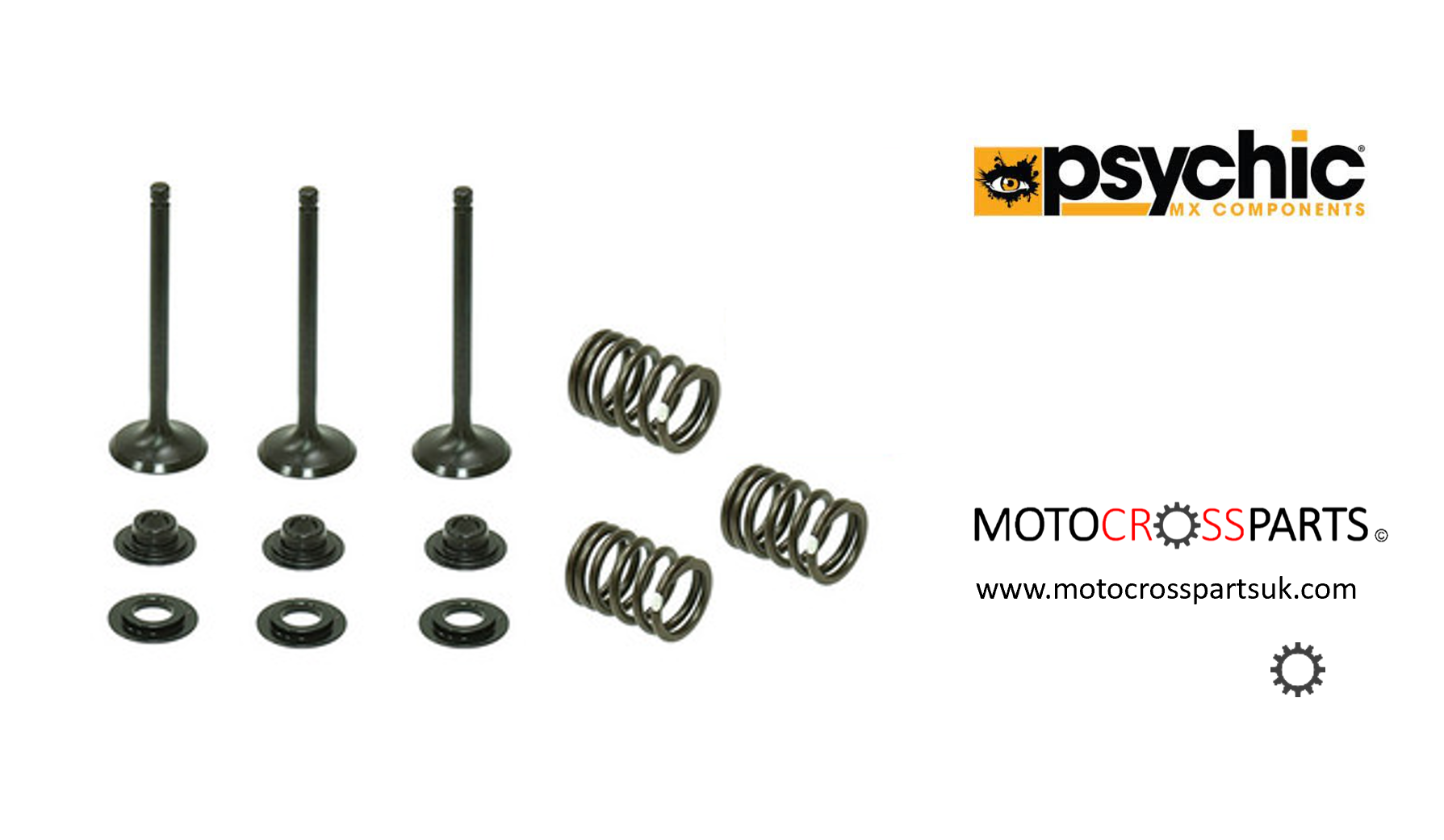 Intake Valve Kit